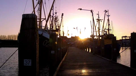 Sunset at the port. Breskens. Stock Footage 33696220