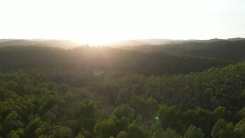 SUNSET IN PORTUGAL Stock Footage 260702278