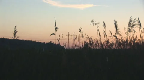 Sunset power line 5 Stock Footage 5503954
