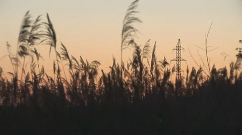 Sunset power line 6 Stock Footage 5503956
