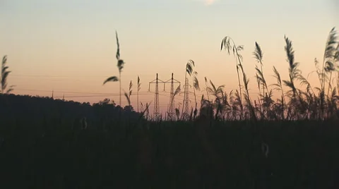 Sunset power line 7 Stock Footage 5503959