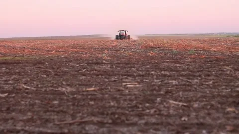 At sunset a powerful tractor sows the spring crops Stock Footage 239973419