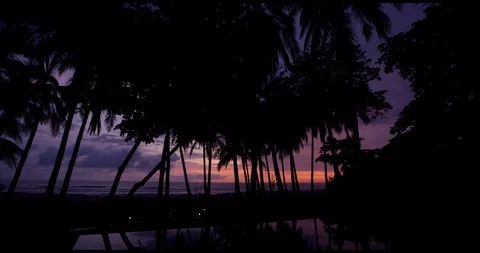 Sunset on private beach with palm trees Stock Footage 127131362