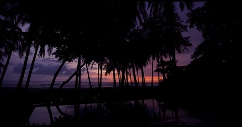 Sunset on private beach with palm trees Stock Footage 127131416