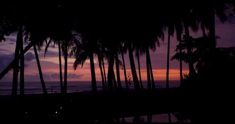 Sunset on private beach with palm trees Stock-Footage 127131429