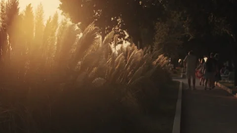 Sunset promenade in Zadar Vídeo Stock 340626923