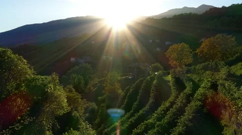 Sunset in the Prosecco region - Motion view Stock Footage 66526175