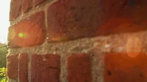 Sunset Public Garden Stock Footage 74150644