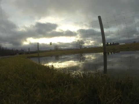 Sunset off puddle Stock Photos