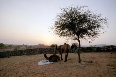 Sunset at pushkar rajasthan Stock Photos