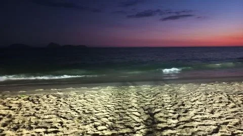 Sunset on the quiet beach Stock Photos