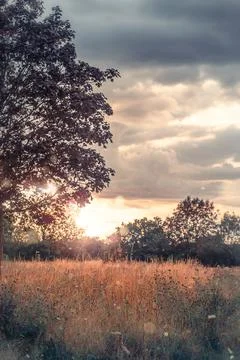 Sunset on the quiet meadow at springtime Stock Photos