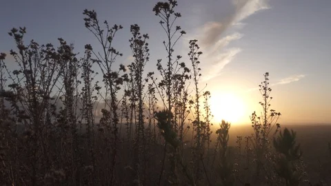 Sunset, Radio tower in foreground. Stock Footage 122332715