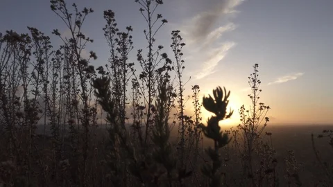 Sunset, Radio tower in foreground. Stock Footage 122333231