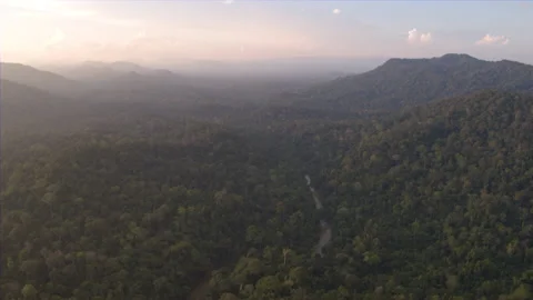 Sunset in Rainforest Stock Footage 164852576