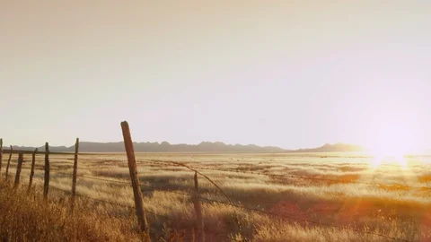 Sunset on the ranch Stock Footage 98959034