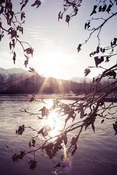 Sunset rays framed by branches Stock Photos