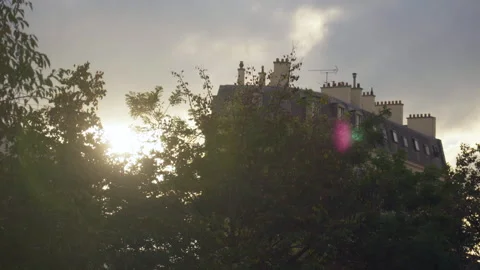 Sunset Rays Through Tree Branches with Haussmannian Building in Background Stock Footage 291805210