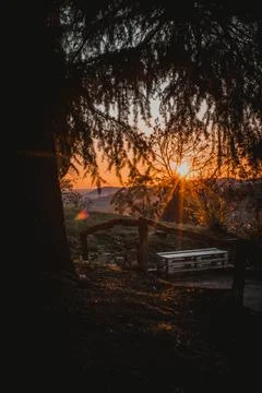 Sunset rays on a tree in monticelli brusati Stock Photos