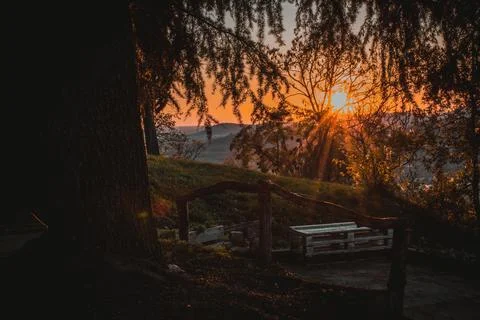 Sunset rays on a tree in monticelli brusati Stock Photos