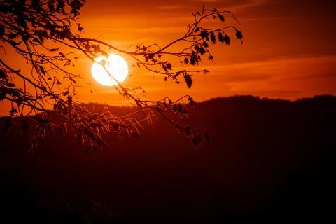Sunset rays on a tree in monticelli brusati Stock Photos