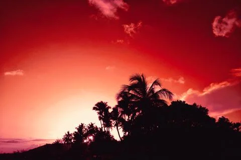 Sunset red dark Stock Photos