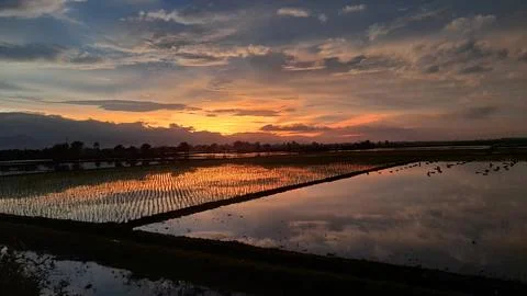 Sunset red 库存照片