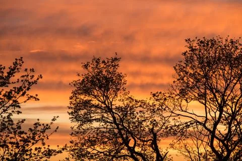 Sunset red sky with clouds horizontal background Fotos Stock