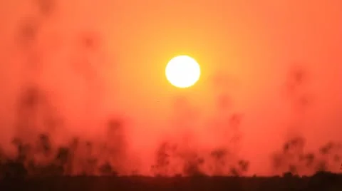 Sunset red sky, grass silhouette zooming and sun above field Stock Footage 8836866