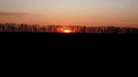 Sunset. The red sun sets behind the trees. In the foreground is the black earth. Stock Footage 271595552