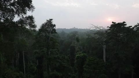 Sunset with red sun settles over lowland rainforest tree tops Stock Footage 234036537