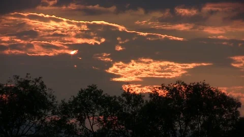 Sunset reddish with fluffy clouds over a deciduous forest Video stock 96708985