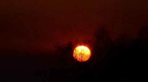 Sunset reddish by the sun above a glacial winter leafless forests Stock Footage 60798315