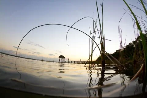 Sunset from the reeds Stock Photos