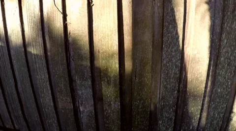Sunset reflected off fence - time lapse zoom in Video stock 55015109