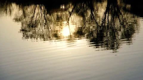 The sunset is reflected in the lake. The setting sun is reflected on the surface Stock Footage 193011144