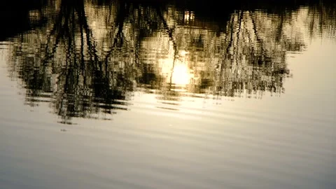 The sunset is reflected in the lake. The setting sun is reflected on the surface Video stock 195122957