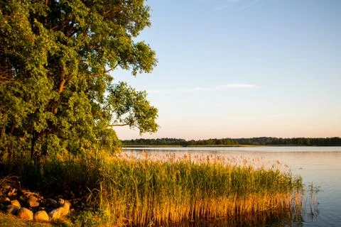 Sunset reflected in the water against a background of trees Stock Photos