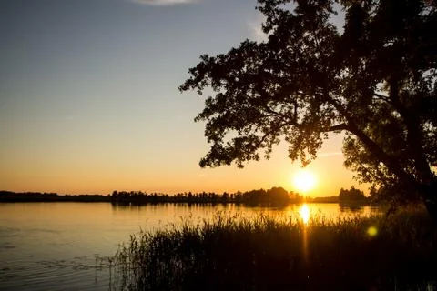 Sunset reflected in the water against a background of trees Stock Photos