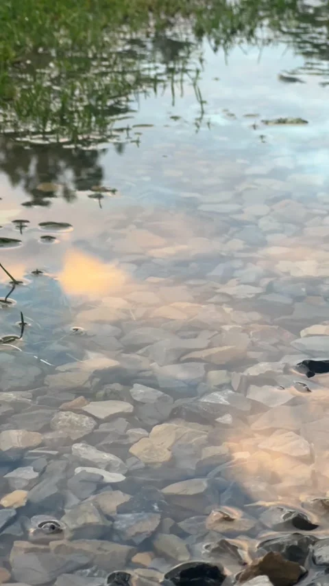 Sunset reflecting off of puddle Stock Footage 196117599