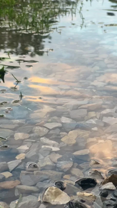 Sunset reflecting off puddle of water Video stock 196117597
