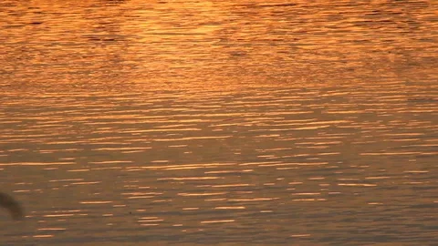 Sunset reflecting on the surface of river water. Video stock 115117776