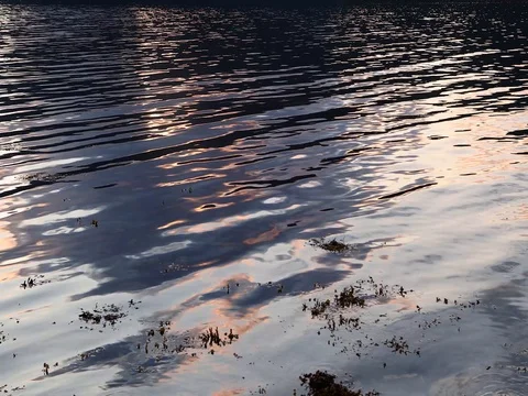 Sunset Reflecting in Water as it gently ripples across submerged rocks and limp Stock-Footage 80146267