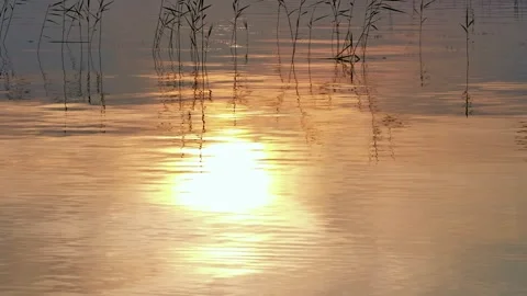 Sunset reflecting from water surface at lake Saimaa. Stock Footage 272265437