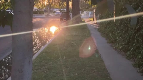 Sunset reflecting in water through trees in Los Angeles, California Vídeos de archivo 171850817