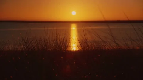 Sunset Reflection on Calm Lake Water Behind Coastal Grass Silhouette Stock Footage 332089265