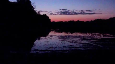 Sunset Reflection in damp soybean field Stock Footage 39932354