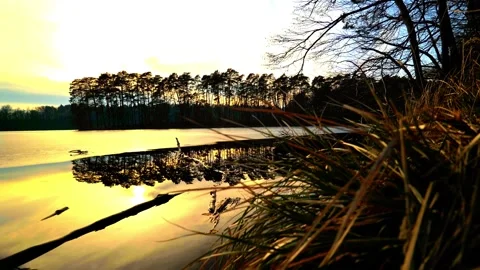 Sunset Reflection on Forest Lake Video stock 330364695