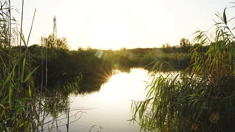 Sunset reflection on the lake Stock Footage 218288066