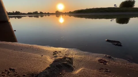 Sunset reflection over calm river from ferry landing Stock Footage 343701913